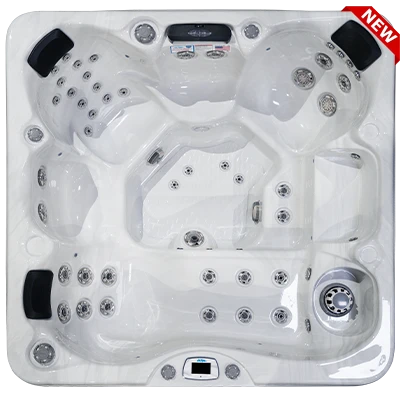 Costa-X EC-749LX hot tubs for sale in Eden Prairie