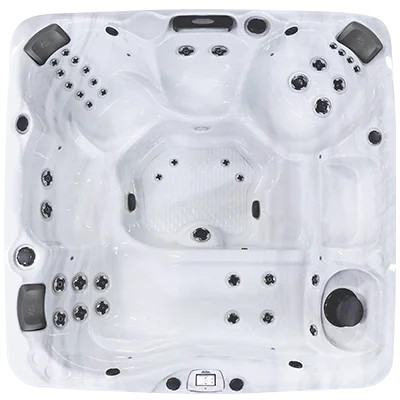 Avalon-X EC-840LX hot tubs for sale in Eden Prairie