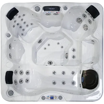 Avalon EC-849L hot tubs for sale in Eden Prairie