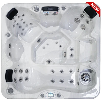 Avalon-X EC-849LX hot tubs for sale in Eden Prairie