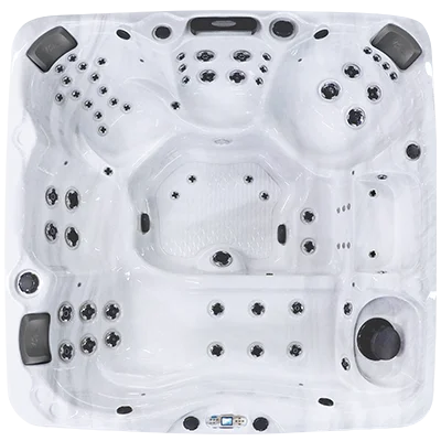 Avalon EC-867L hot tubs for sale in Eden Prairie