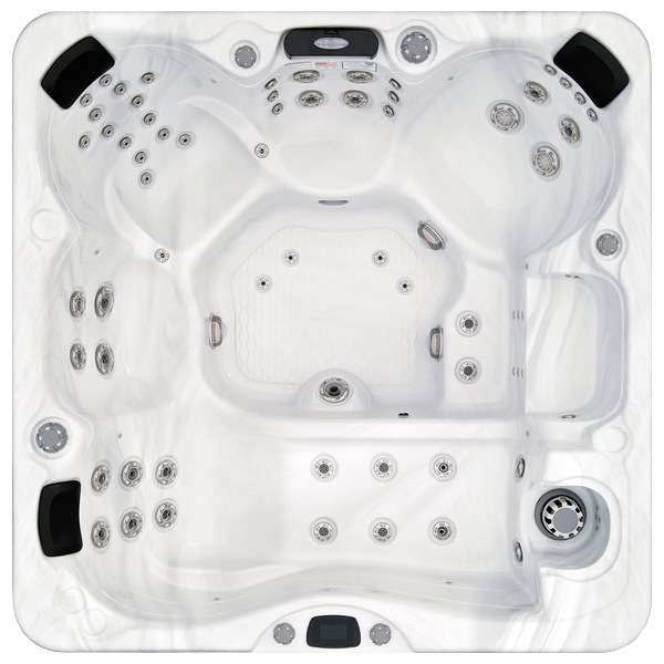 Avalon-X EC-867LX hot tubs for sale in Eden Prairie