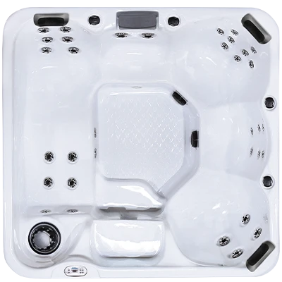 Hawaiian Plus PPZ-634L hot tubs for sale in Eden Prairie