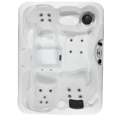 Kona PZ-519L hot tubs for sale in Eden Prairie