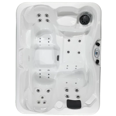 Kona PZ-535L hot tubs for sale in Eden Prairie