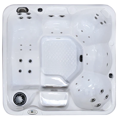 Hawaiian PZ-636L hot tubs for sale in Eden Prairie